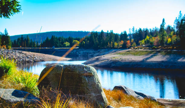 A photo of stones and forest of a reservoir