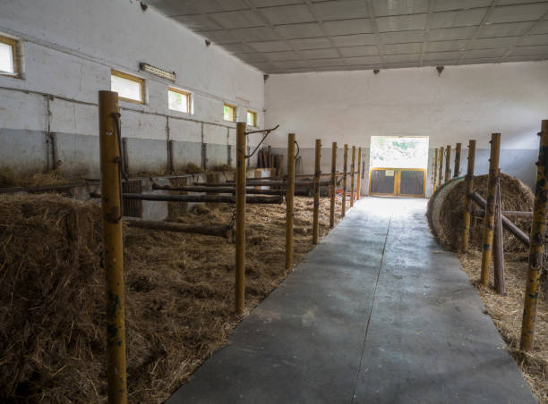 istock old empty horse stable stall block in historical farm Benice 1418853788