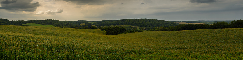 verde campo de maíz montañoso con bosques bajo un cielo nublado. vista lateral panorámica panorámica panorámica. paisaje agrícola nocturno photo