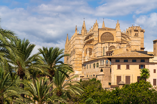 Palma de Mallorca, Spain - Aug 28, 2022: Cathedral of Palma de Majorca, Majorca, Balearic Islands, Spain.