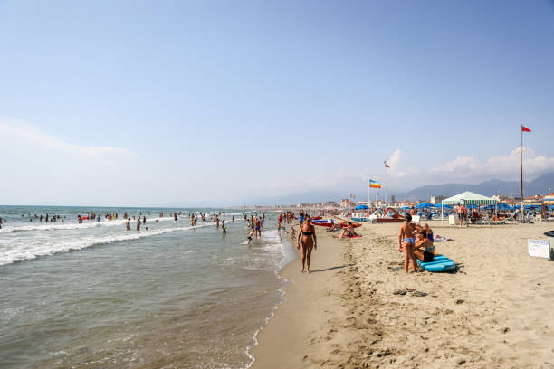 sedie a sdraio e bagnanti lungo le rive del mediterraneo a nord di roma italia - marina di pisa foto e immagini stock