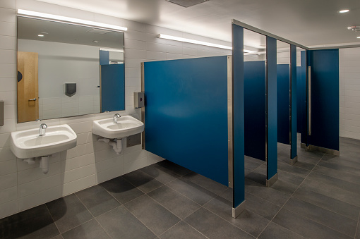 Ladies bathroom in a commercial office building.