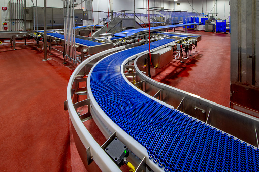 Conveyor belts for a food processing plant.