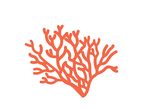 Underwater Coral Plant Branch, Isolated Sea Reef Object With Outgrowths. Undersea Tropical Water Life, Ocean Coral Marine Flora, Biodiversity, Vegetation Design Element. Cartoon Vector Illustration