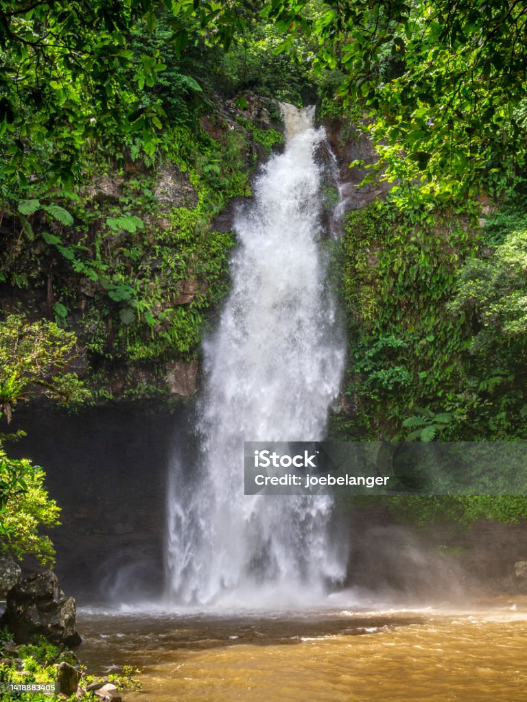 Bouma Falls Fiji An extended small waterfall next to the remote flowing Bouma Falls shows its heavy runoff from a recent and frequent rain. Beauty In Nature Stock Photo