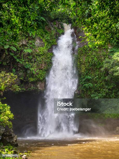 Bouma Falls Fiji Stock Photo - Download Image Now - Beauty In Nature, Bouma Falls, Brown