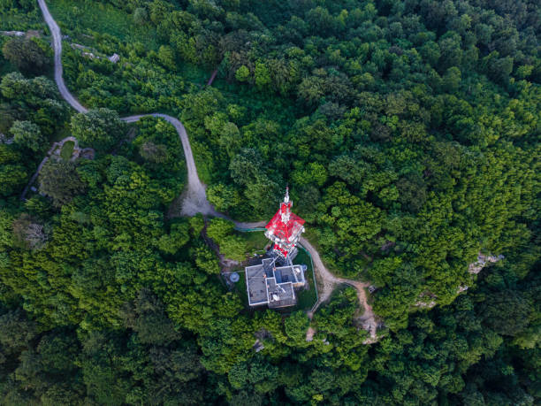 Drone view of telecommunications tower surrounded by green forest trees with cityscape before the rain on background. Technology and Global Business.