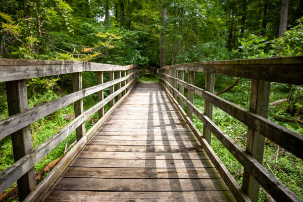 istock A boardwalk along a hiking path in a Provincial Park in Ontario, Canada. 1418897561