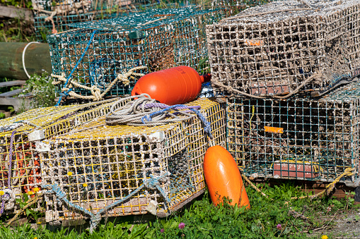 Lobster buoy and trap, Owls Head, Maine, USA