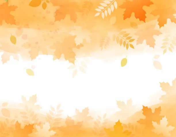Vector illustration of autumn leaves bg