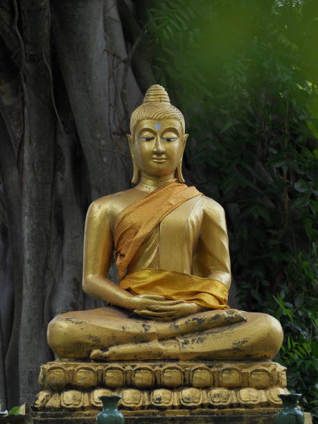 golden yellow buddha green leaves and white light gray background Golden yellow buddha, green leaves and white light, gray background, yes as a background. buddha image stock pictures, royalty-free photos & images