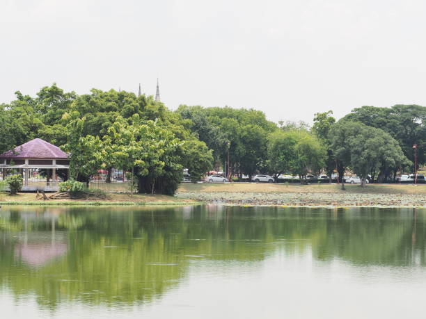 istock Silver-gray river, green-gray and light-green foliage, gray-white sky, white light. 1418907695