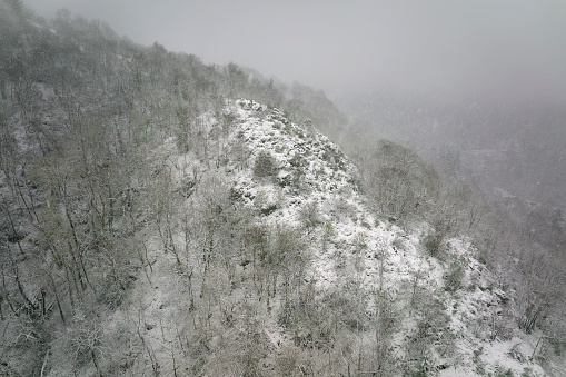 Aerial foggy landscape with mountain cliffs covered with fresh fallen snow during heavy snowfall in winter mountain forest on cold quiet day.