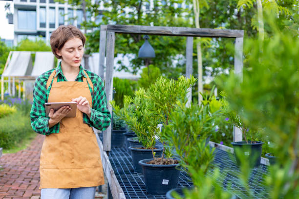 istock Caucasian gardener holding digital tablet while working in her conifer tree nursery garden center for evergreen and bonsai artist supply 1418919594