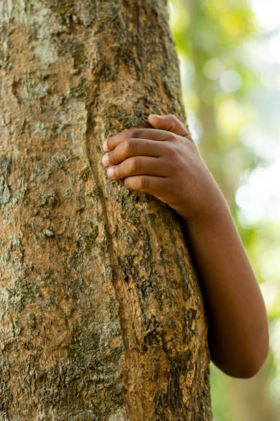 istock Hiding behind a tree is a man or women holding with one hand 1418929077