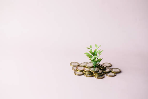 istock Close up of young plan growing through coins. 1418934594