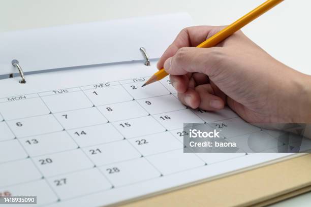Woman Hand With Pencil Writing On Calendar Page Stock Photo - Download Image Now - Calendar, Scar, Making a Reservation