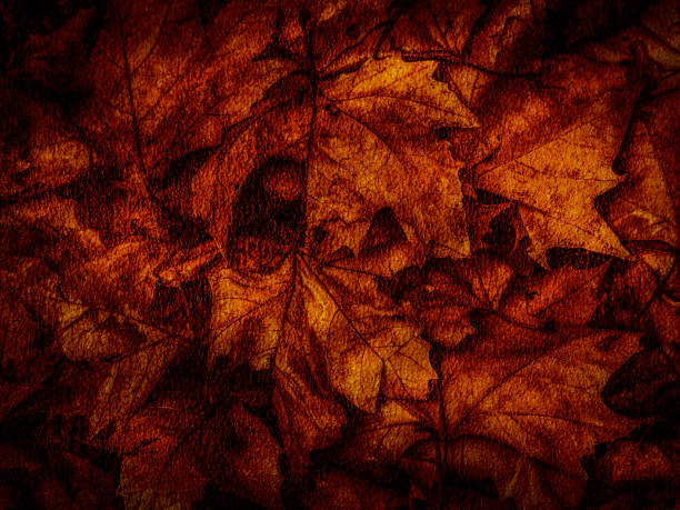 Autumn Leaves with a Grunge Texture