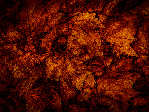 Autumn Leaves with a Grunge Texture