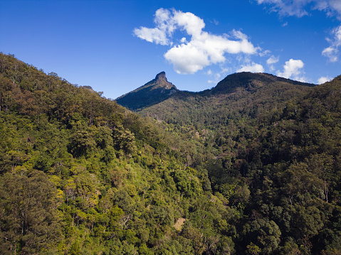 View of Mt Warning (Wollumbin) in northern NSW, Australia