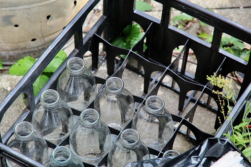 Empty and clean glass milk bottles in a milkman delivery bottle crate on the ground in Edinburgh Scotland