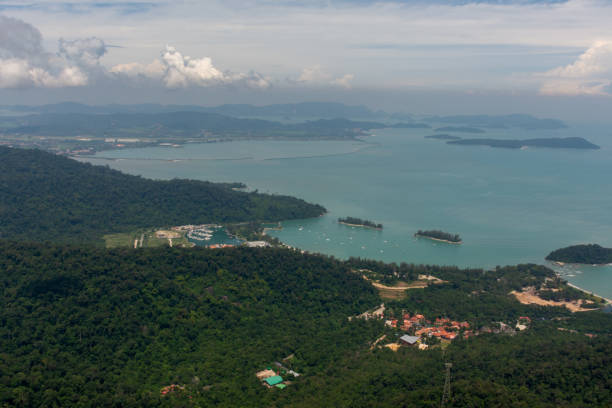 vue panoramique depuis le pont aérien de langkawi - tropical rainforest elevated walkway pulau langkawi malaysia photos et images de collection