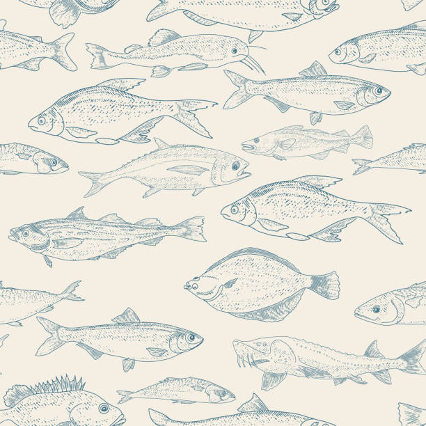 Background Of The Types Of Edible Fish Illustrations, Royalty-Free Vector  Graphics & Clip Art - iStock