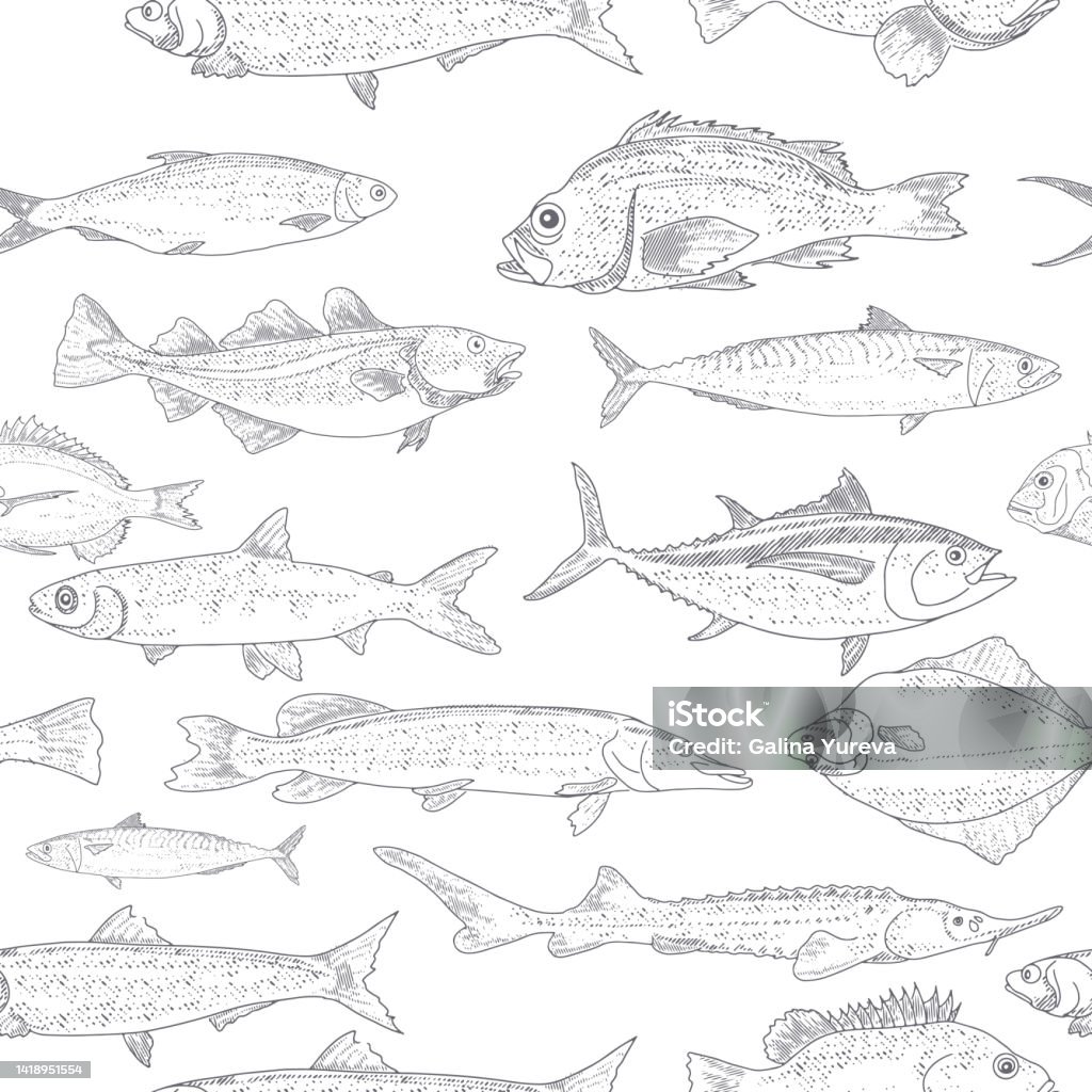 Media Vector Fish Fish Seamless Pattern Stock Illustration - Download Image Now - Fish ...