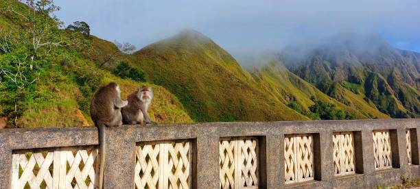 istock the hills in sembalun

￼ 1418953082