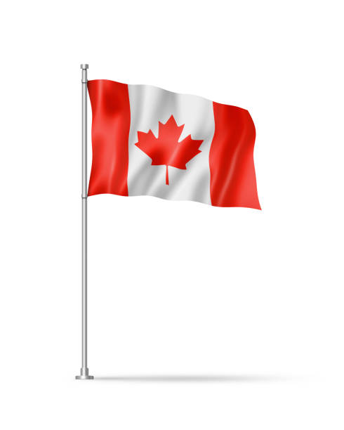 Canadian flag isolated on white stock photo