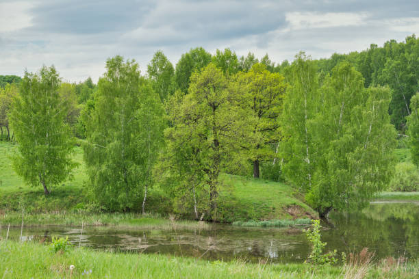 istock Landscape with a pond with a reflective surface and a forest behind against grey rainy clouds. 1418962704