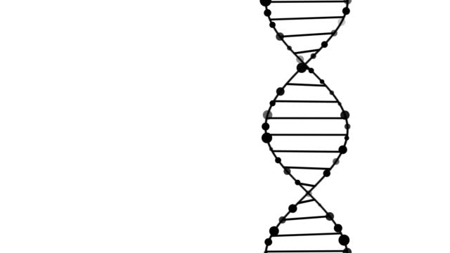 DNA structure molecule rotating