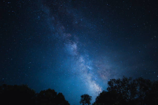 istock Night scene milky way background,Trees Against Sky At Night 1418964776