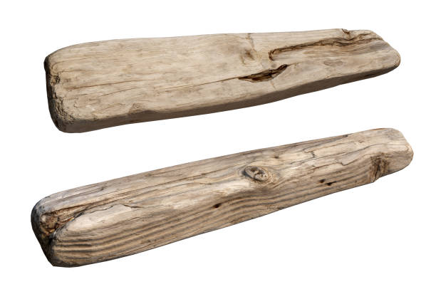 istock Logs decorate the garden on a white background 1418967408