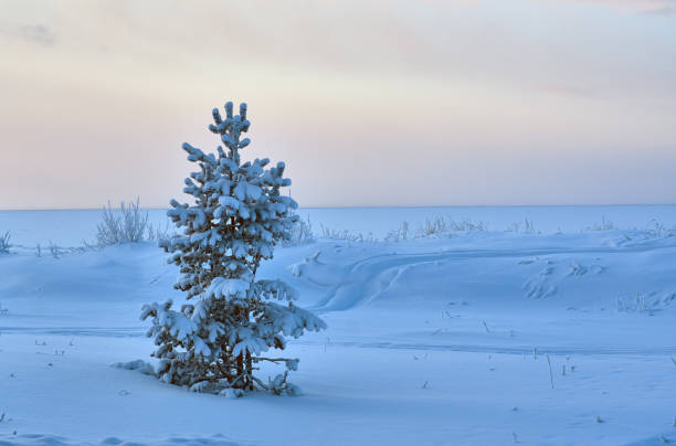 istock Beautiful Christmas landscape 1418969768