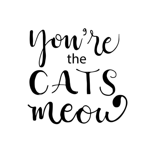 Vector illustration with phrase - you're the cat meow . Vector illustration with phrase - you're the cat meow . Typography poster with quote. Black and white inspirational lettering. youre beautiful quotes stock illustrations