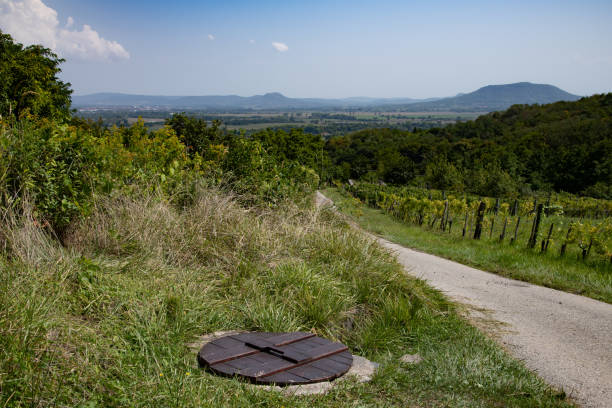 Rural Hungarian Landscape