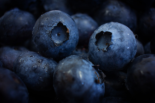 Macro shot of blueberry with water drops.