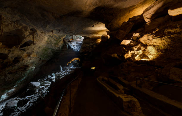 Bat Cave, Carlsbad Caverns National Park, New Mexico, USA