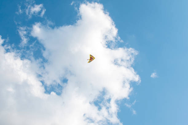 kite fly across the blue sky against the background of clouds