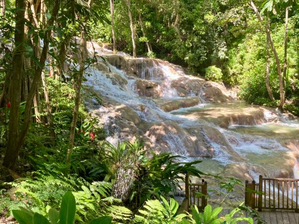 Jamaica - Dunn’s river fall Jamaica - Dunn's river fallo - one of the main attractions of the island, with its cool waters in a forest of lush vegetation. Tourists are brought up the waterfalls on foot. Or visit this wonder using the wooden stairs that run along the waterfall. This waterfall flows directly into the sea. dunns river falls stock pictures, royalty-free photos & images