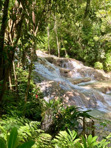 istock Jamaica - Ocho Rios - Dunn’s river falls 1418996151