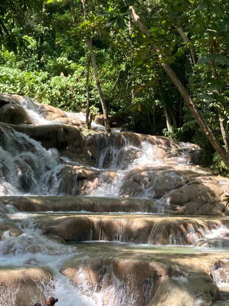 ямайка - очо-риос - водопад реки данн - waterfall tropical rainforest water jamaica стоковые фото и изображения
