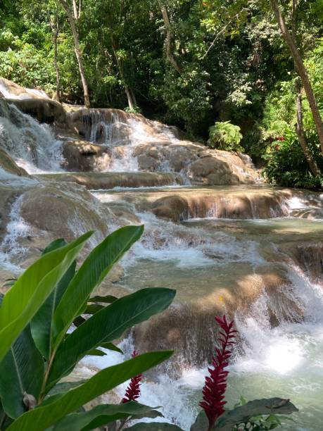 Jamaica - Ocho Rios -Dunn’s river fall Jamaica - Ocho Rios - Dunn River Falls, one of Jamaica's main attractions dunns river falls stock pictures, royalty-free photos & images