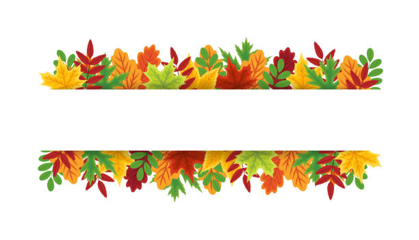 Autumn background. Banner with leaves border. Frame with leaf on white background. Garland with foliage of maple, rowan and oak. Design ornament for decoration, sale and thanksgiving day. Vector Autumn background. Banner with leaves border. Frame with leaf on white background. Garland with foliage of maple, rowan and oak. Design ornament for decoration, sale and thanksgiving day. Vector. thanksgiving live wallpaper stock illustrations