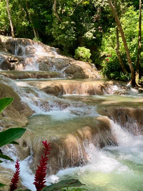 Jamaica - Ocho Rios -Dunn’s river fall Jamaica - Ocho Rios - Dunn River Falls, one of Jamaica's main attractions dunns river falls stock pictures, royalty-free photos & images