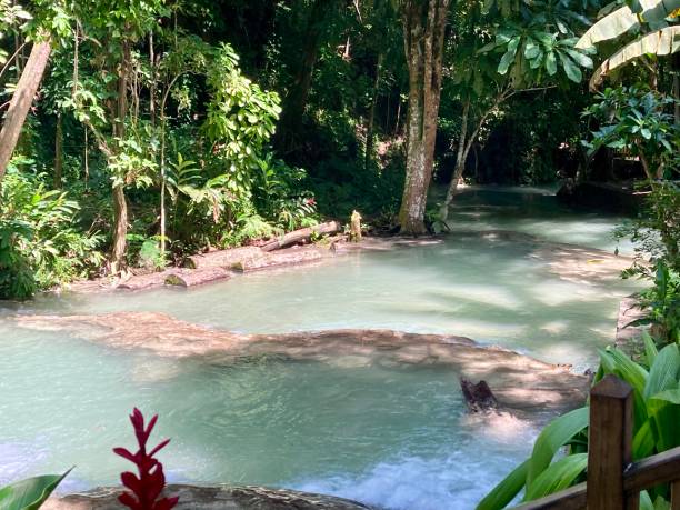 Jamaica - Dunn’s river fall Jamaica - Dunn's river fallo - one of the main attractions of the island, with its cool waters in a forest of lush vegetation. Tourists are brought up the waterfalls on foot. Or visit this wonder using the wooden stairs that run along the waterfall. This waterfall flows directly into the sea. dunns river falls stock pictures, royalty-free photos & images