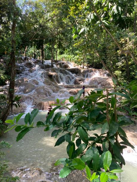 ямайка - очо-риос - водопад реки данн - waterfall tropical rainforest water jamaica стоковые фото и изображения