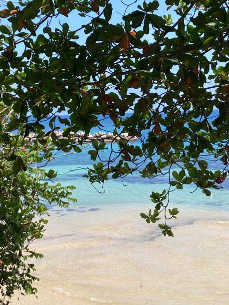 istock Jamaica - Ocho Rios - Dunn’s river beach 1419003024