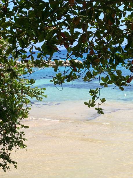 istock Jamaica - Ocho Rios - Dunn’s river beach 1419003152